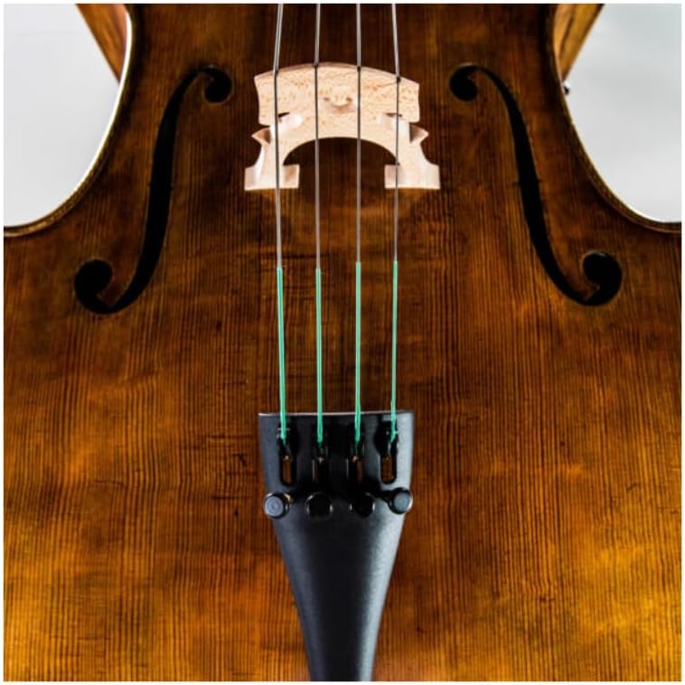 Thomastik, 1 Single String for Cello, Nylon (641809)