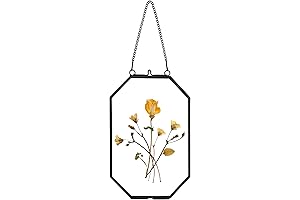 4x6 Pressed Flower Frames - Preserve Botanical Memories