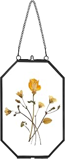 REDHUGO Pressed Flower Frames, Glass Frames, Octagon, Black, 4x6 Inches