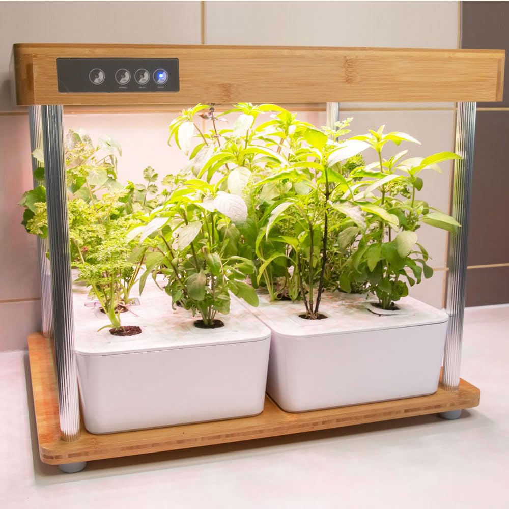 Bamboo 2 - Hydroponiczny ogród warzywny dla roślin aromatycznych - 16 miejsc uprawy