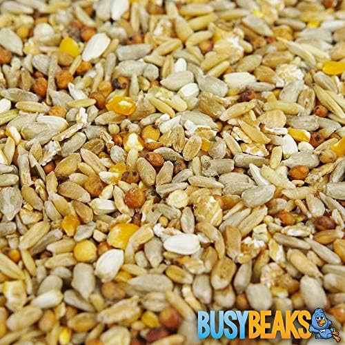 BusyBeaks No Mess Seed Mix | Garden Wild Bird Food Mixture | Husk and Shell Free Seeds | Premium Quality Balanced Formula | Protein-Rich Great Source of Energy | Attracts Various Birds (1L Tub)