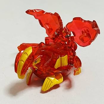 超特大法螺貝 法螺貝（中古） 2025年最新】Yahoo!オークション -法螺貝ほら貝