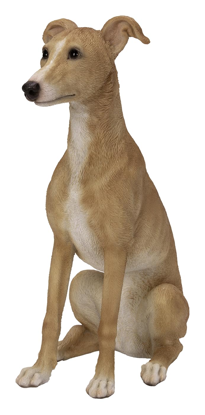 Vivid Arts - Real Life Whippet Fawn/White - XRL-WHP4-D