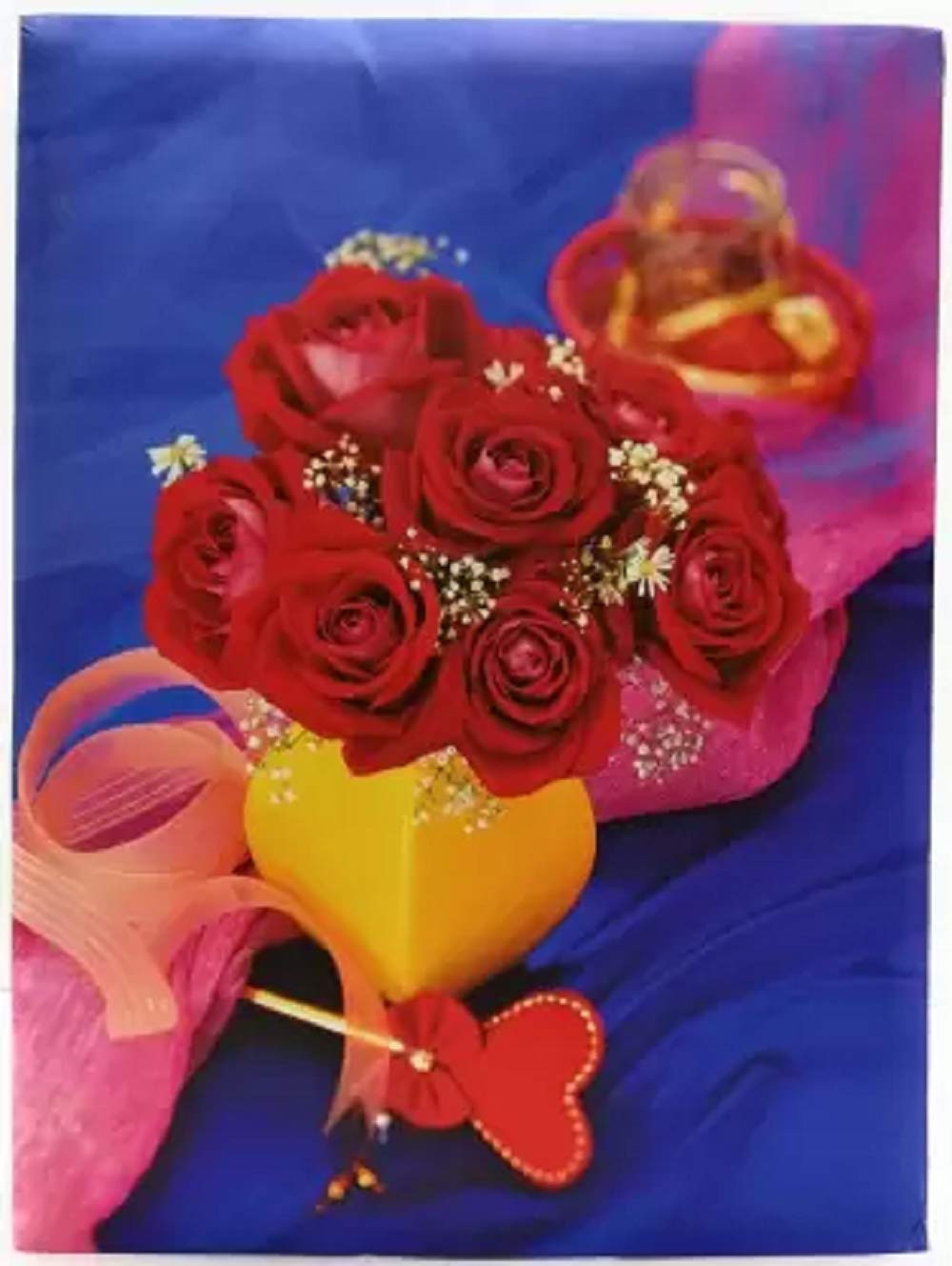 Natraj Memo Screw Type Photo Album with 0.6mm Thick Extra Clear PVC Film, 300 Pocket, (Photo Size Supported: 4'x6') Album (Photo Size Supported: 4X6)