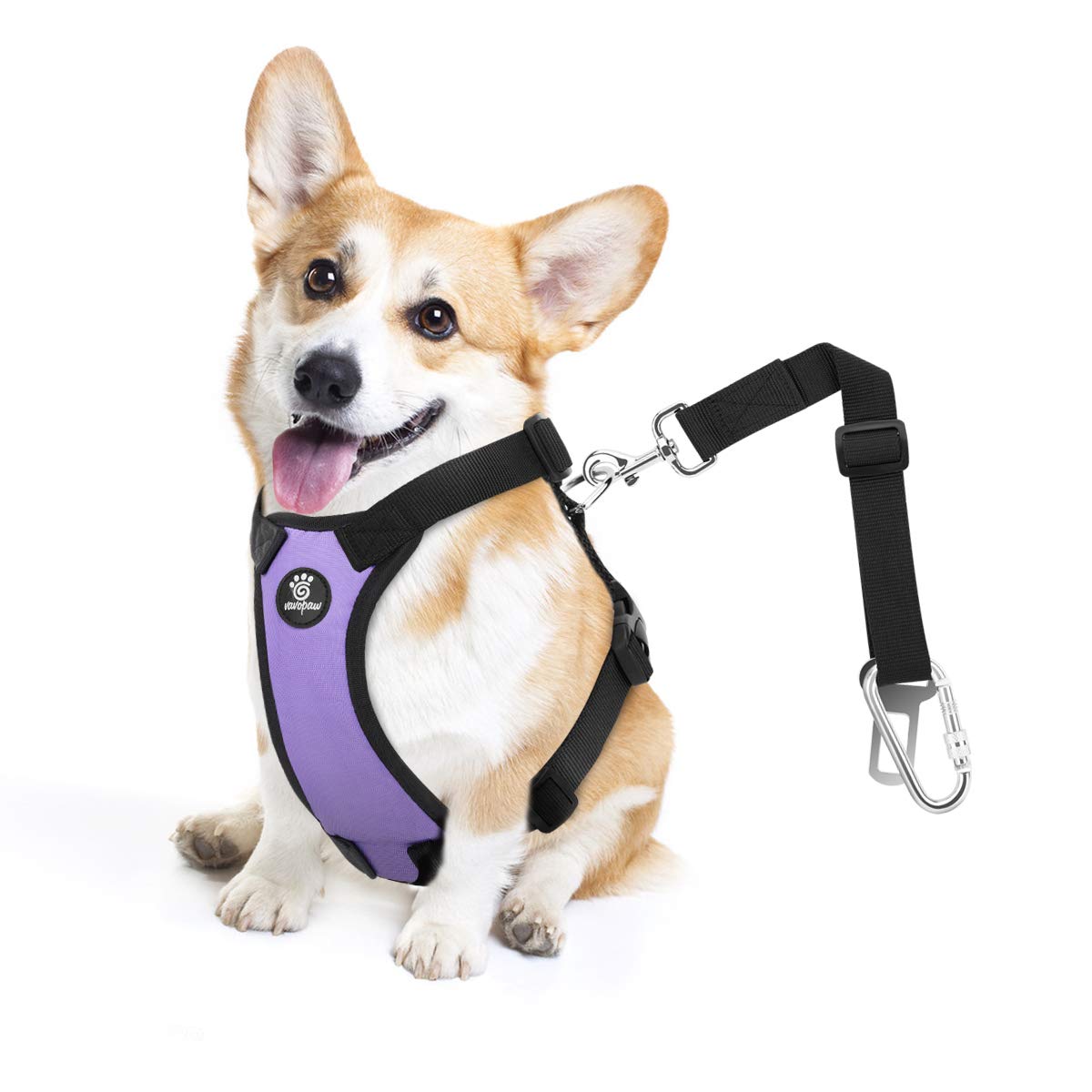 VavoPaw Dog Seat Belt, Safety Vest Dog Car Harness with Adjustable Buckle Dog Seat Belt for Vehicle Nylon Pet Safety Seat Belts Heavy Duty(M, Purple)