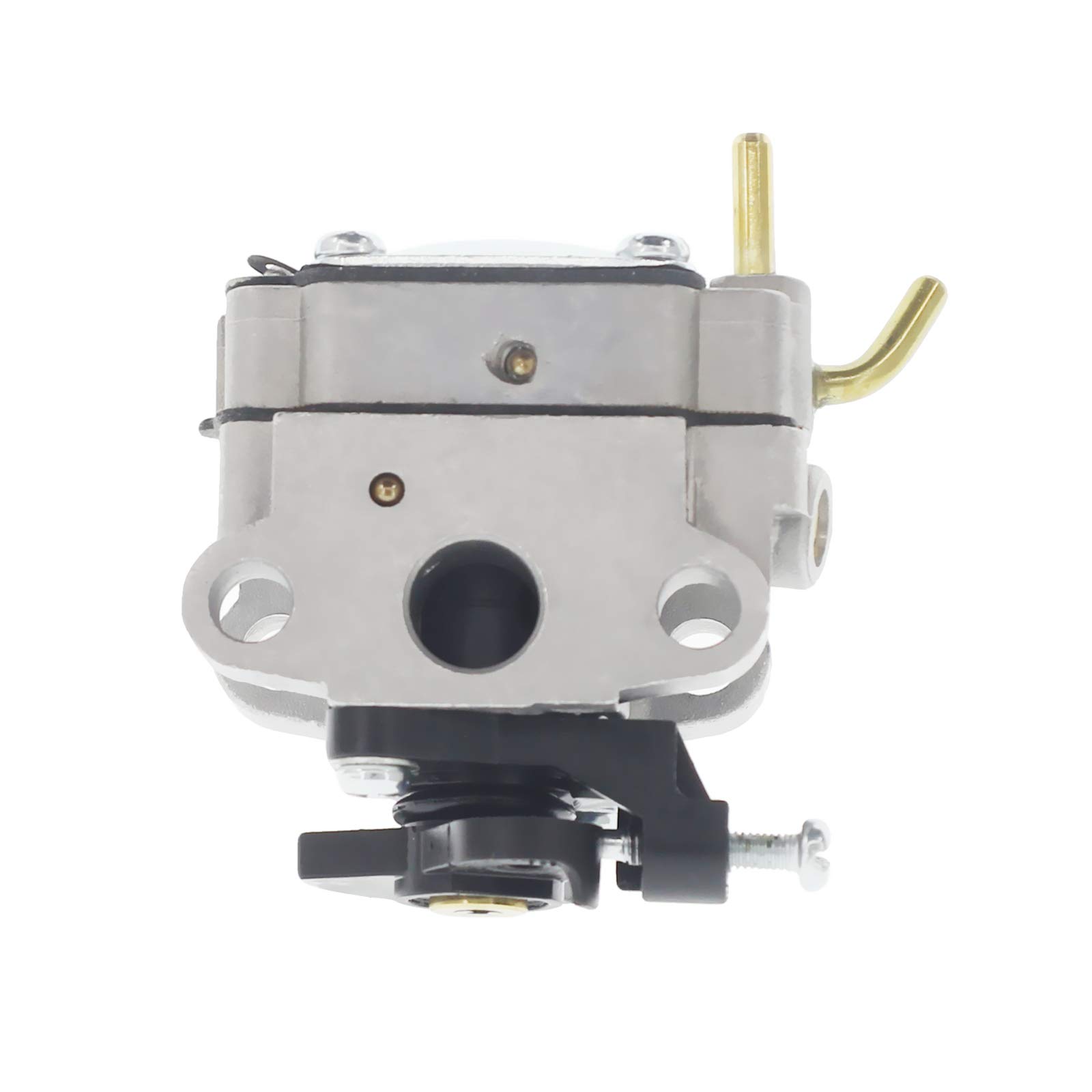 Chacarbtu 309375001 Carburetor for Ryobi RY09466 RY09466A Blower