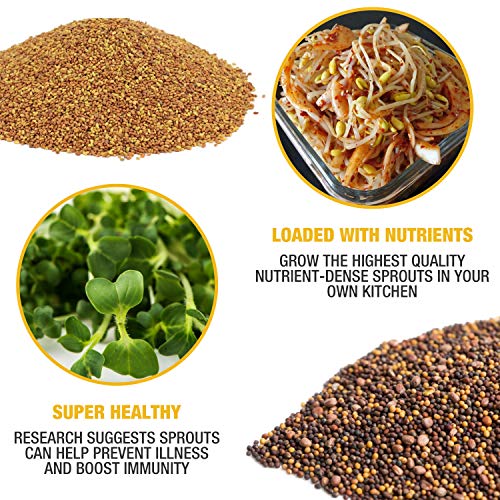 Mumm's Sprouting Seeds - Starter Sample Pack - 625 GR - Organic Sprout Seed Kit - Broccoli, Radish, Alfalfa, Mung Bean - Thumbnail 5