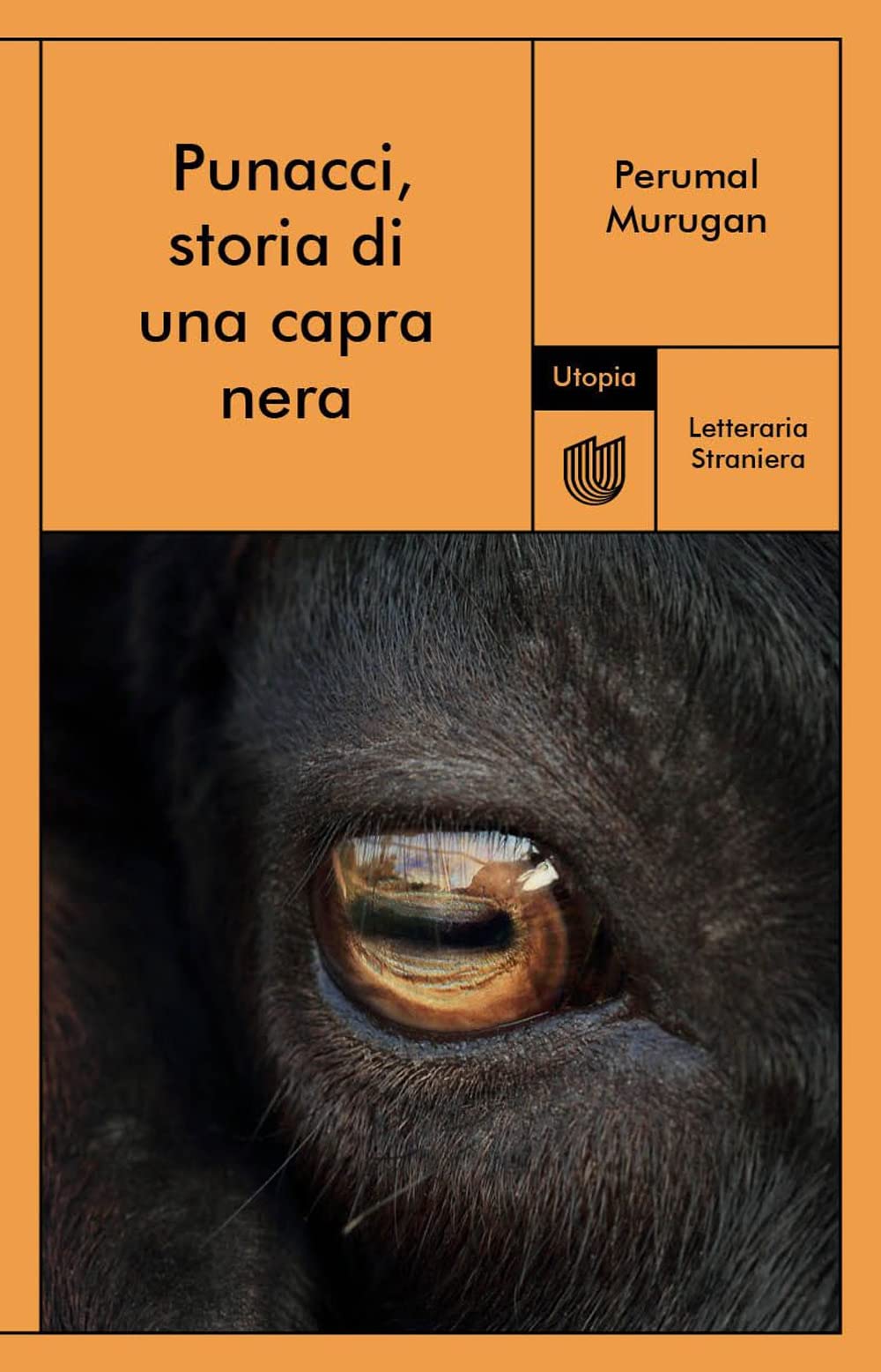 Punacci, Storia Di Una Capra Nera - 4