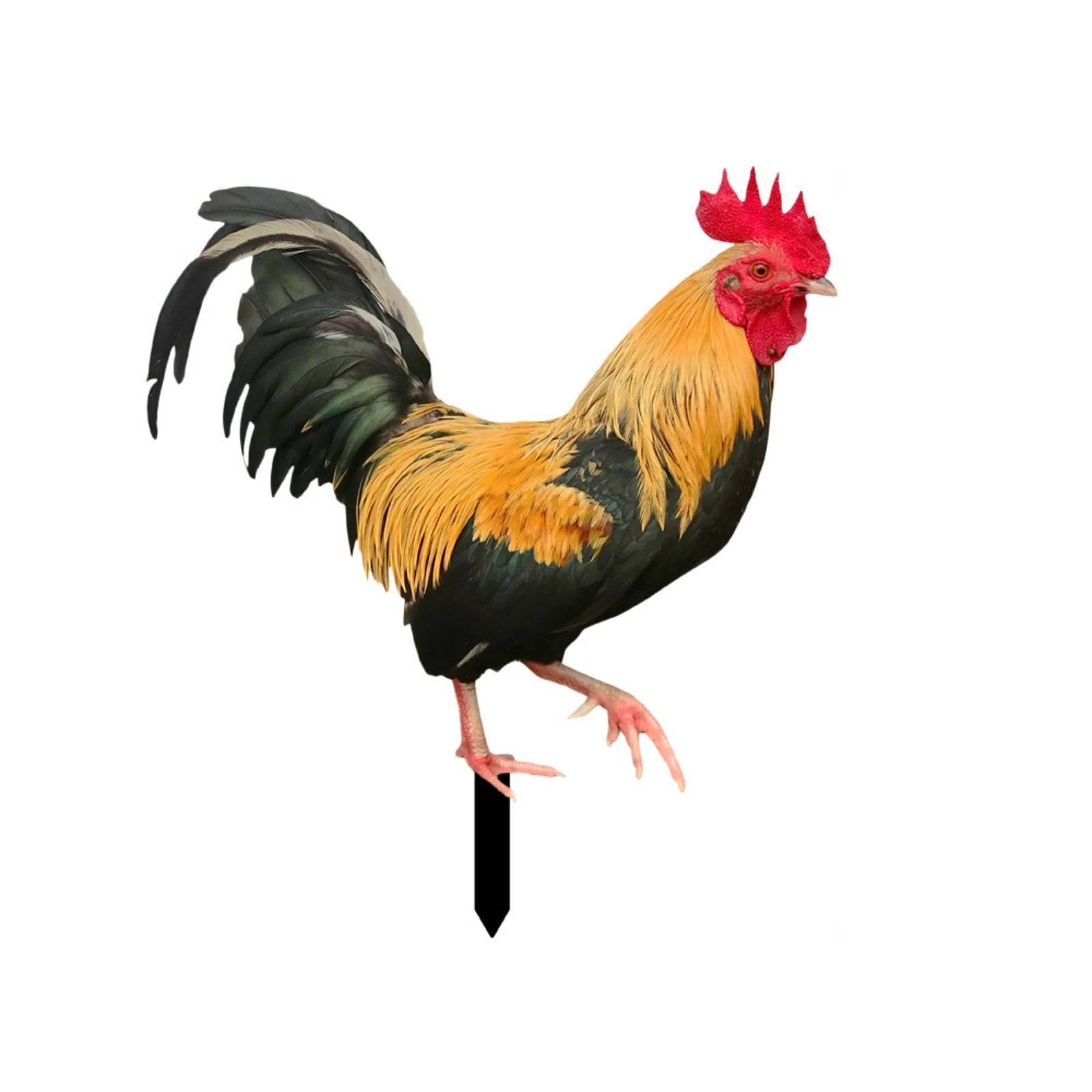 Acrylic Cockerel Garden Stake | Double-Sided, Outdoor, cockerel Yard Sign with Ground Stake, for Flower Bed D-image-32