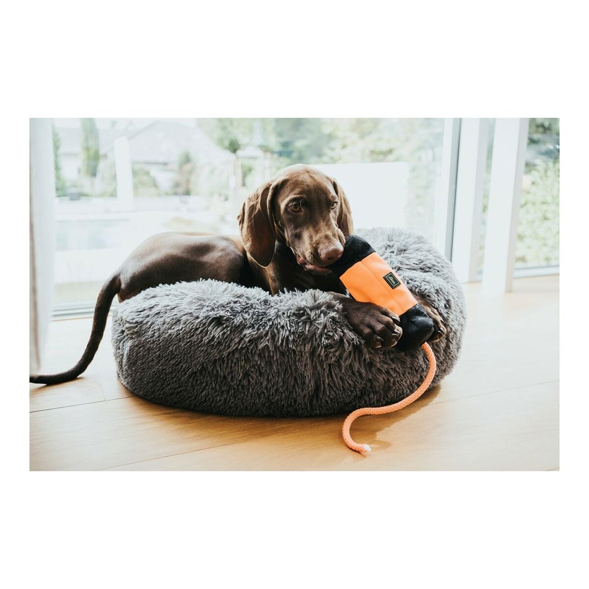 HUNTER Trainer Snack Dummy con corda di lancio, 37 cm, arancione/nero