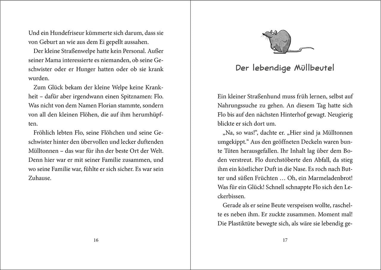 Die Straßengäng (Band 1) - Eine Pfote wäscht die andere: Erlebe die Abenteuer einer (fast) furchtlosen Gang - Kinderbuch mit urkomischen Tieren ab 8 Jahren