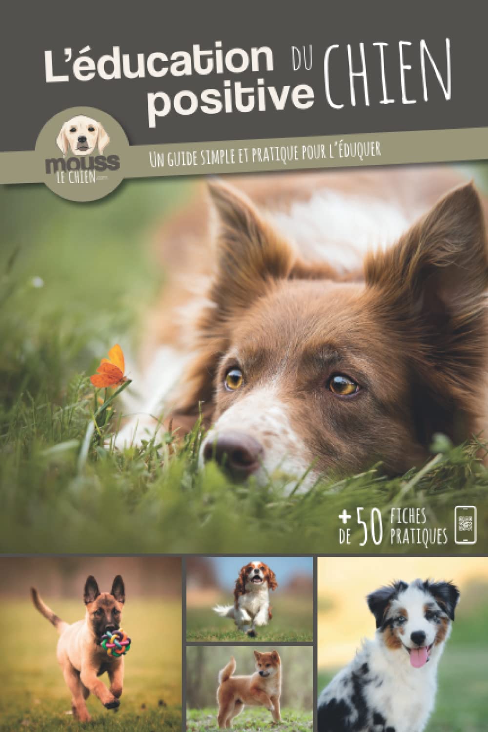 L'éducation positive du chien: Un guide simple et pratique pour l'éduquer