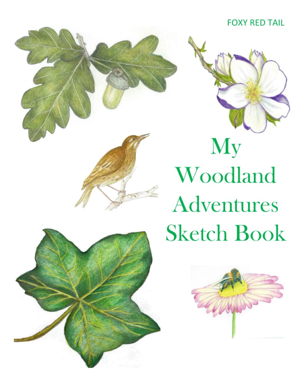 MY WOODLAND ADVENTURES SKETCH BOOK: Foxy Red Tail (The Woodland Adventures of Foxy Red Tail)