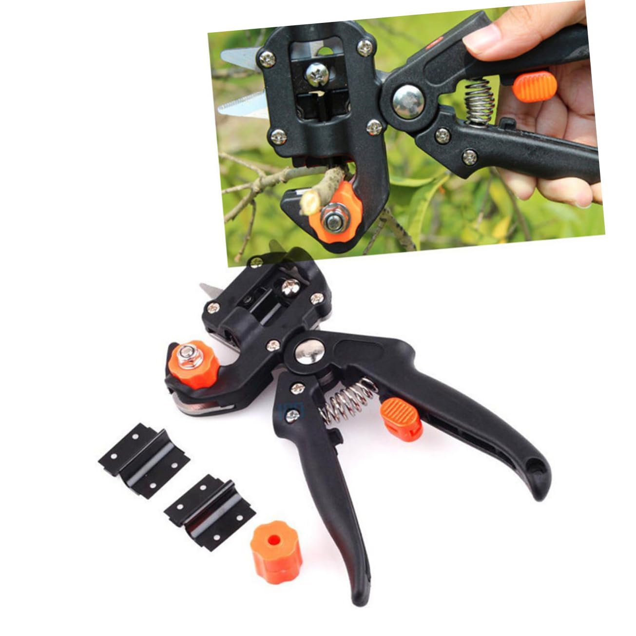 Forbici da Innesto per Alberi e Piante in Acciaio Inox | Uso Rapido e Semplice, Aumenta le Attecchimento, Utensile da Giardino per Orto