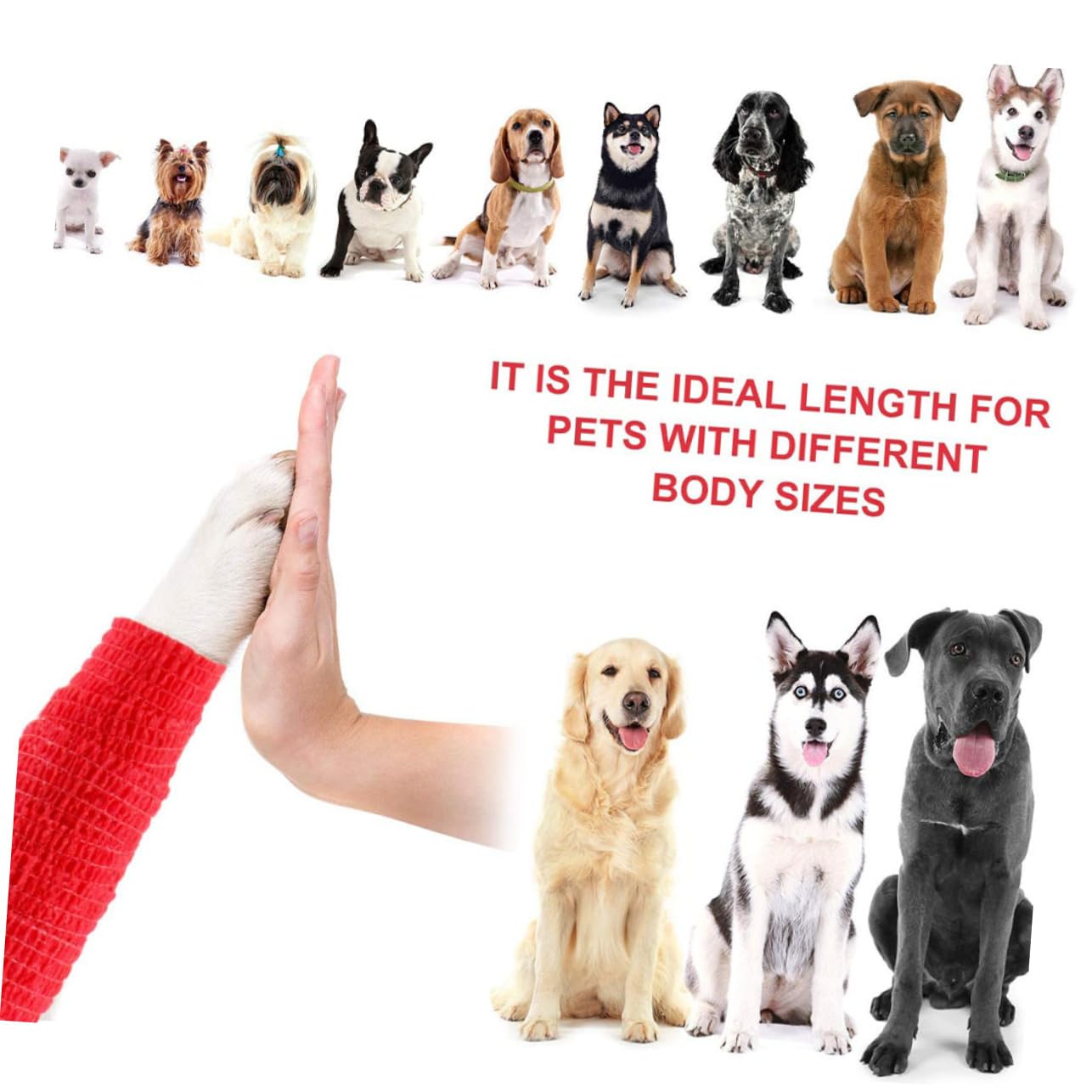 FRCOLOR 3pcs Elastic Strap Sports Tape Self-Adhesive Elastic Athletic Tape Wraps Pet Tape Self Adhering Sport Tape Wristband Protection Non-Woven Fabric