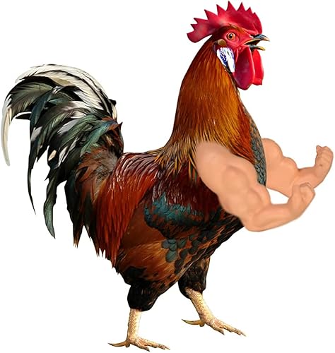 YUKEI Brazos de pollo para gallinas  Divertido, duradero, juguete de brazos musculares artificiales  Perfecto para fiestas, sesiones de fotos y