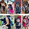 Premium Pet Dog Carrier Backpack - Travel Companion for Small Dogs, Cats, and Rabbits