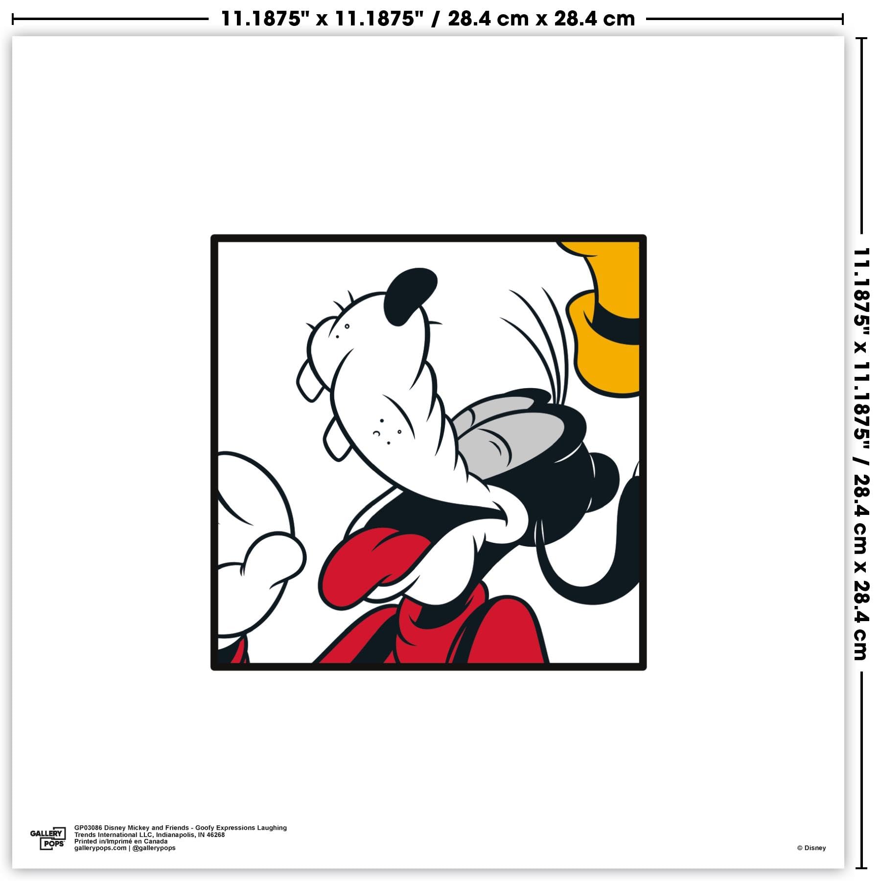 Amazon.com: Gallery Pops Disney Mickey and Friends - Goofy