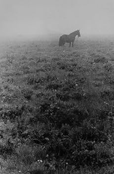 Amazon.co.jp: Solitude Standing : 小島一郎: 本