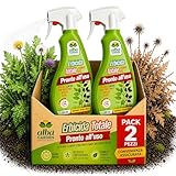 Albagarden - Diserbante Totale a base di Acido Pelargonico - Erbicida Ad Azione Disseccante Per Erbacce, Gramigna Alghe e Muschi - Spray Pronto Uso 500 ml (2 Pezzi)
