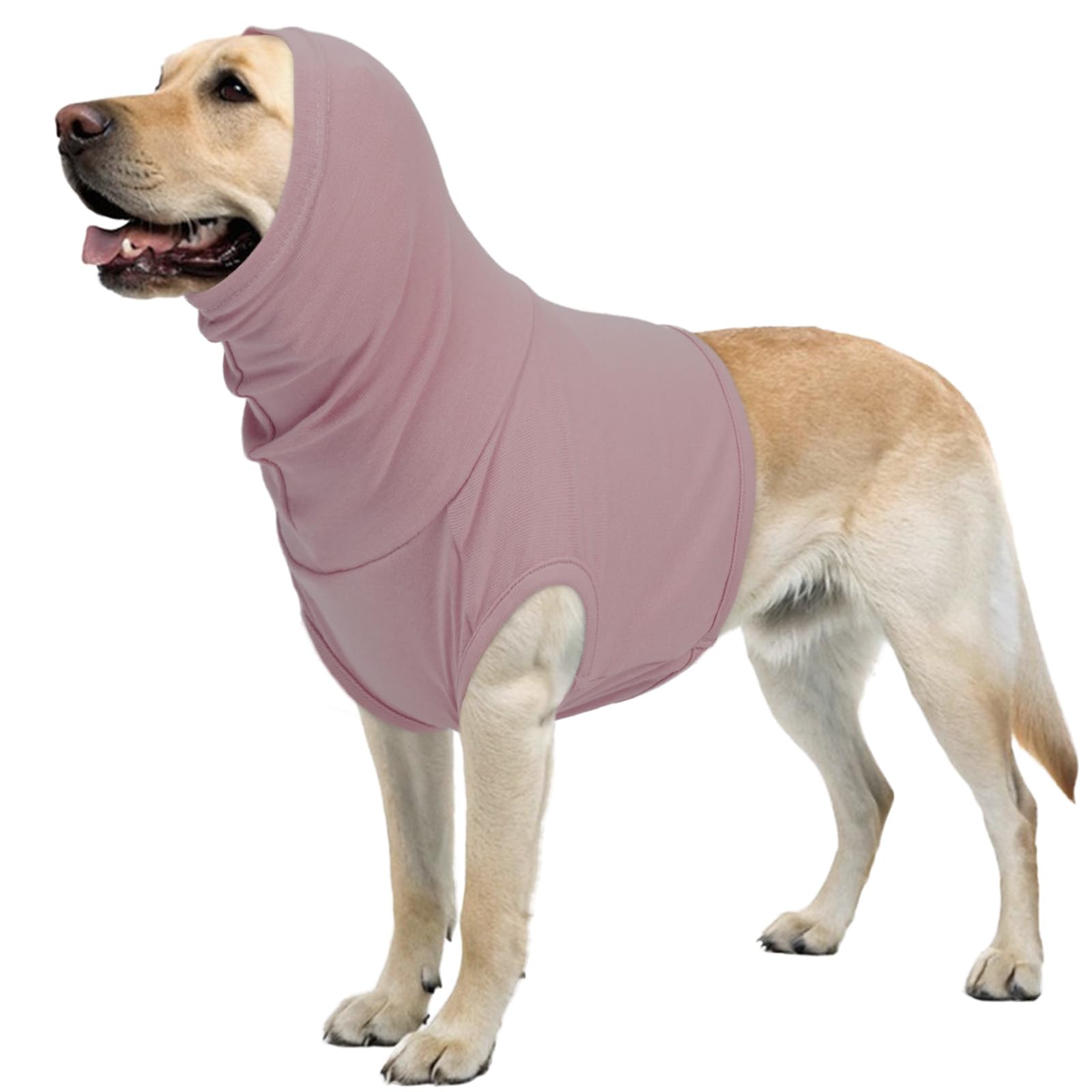 Combinaison chirurgicale pour chien 2XL évite le léchage de plaie