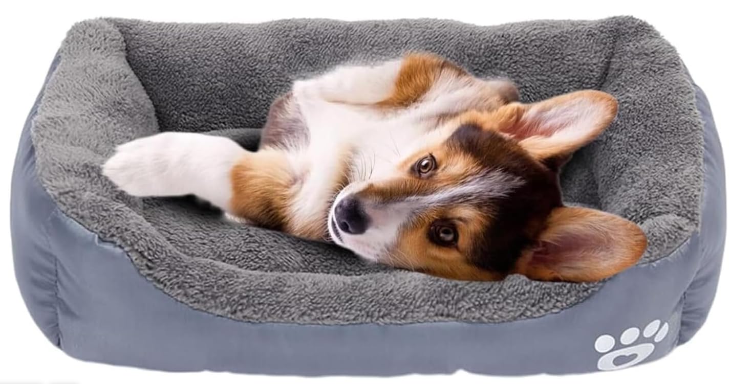 Tapis de couchage doux gris clair lavable pour chien et chiot de petite taille