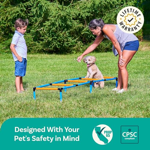 Petcove PC-SWFTPWS-OR-V Dog Agility Course Backyard Set thumb #6