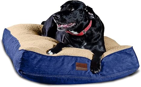 big dog beds amazon