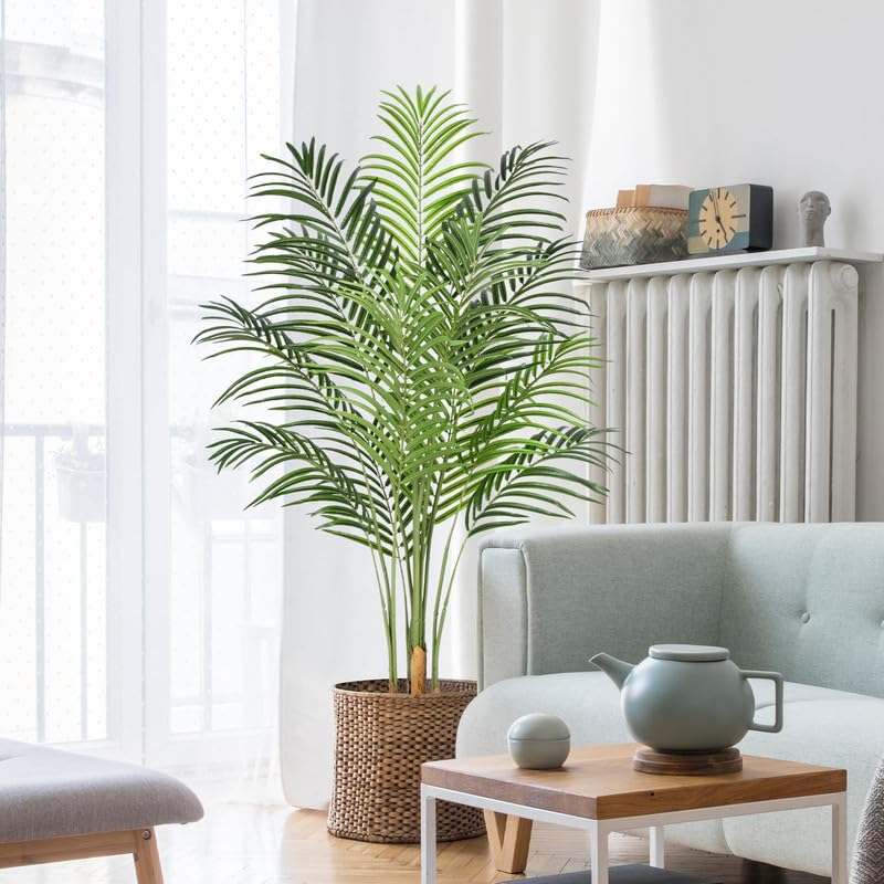 Air purifier live plants indoor oxygen Natural Live A Big Size "Areca Palm" Tree (Pack of 2 With pot) || For Home Garden Tree Outdoor indoor plant-picture-34