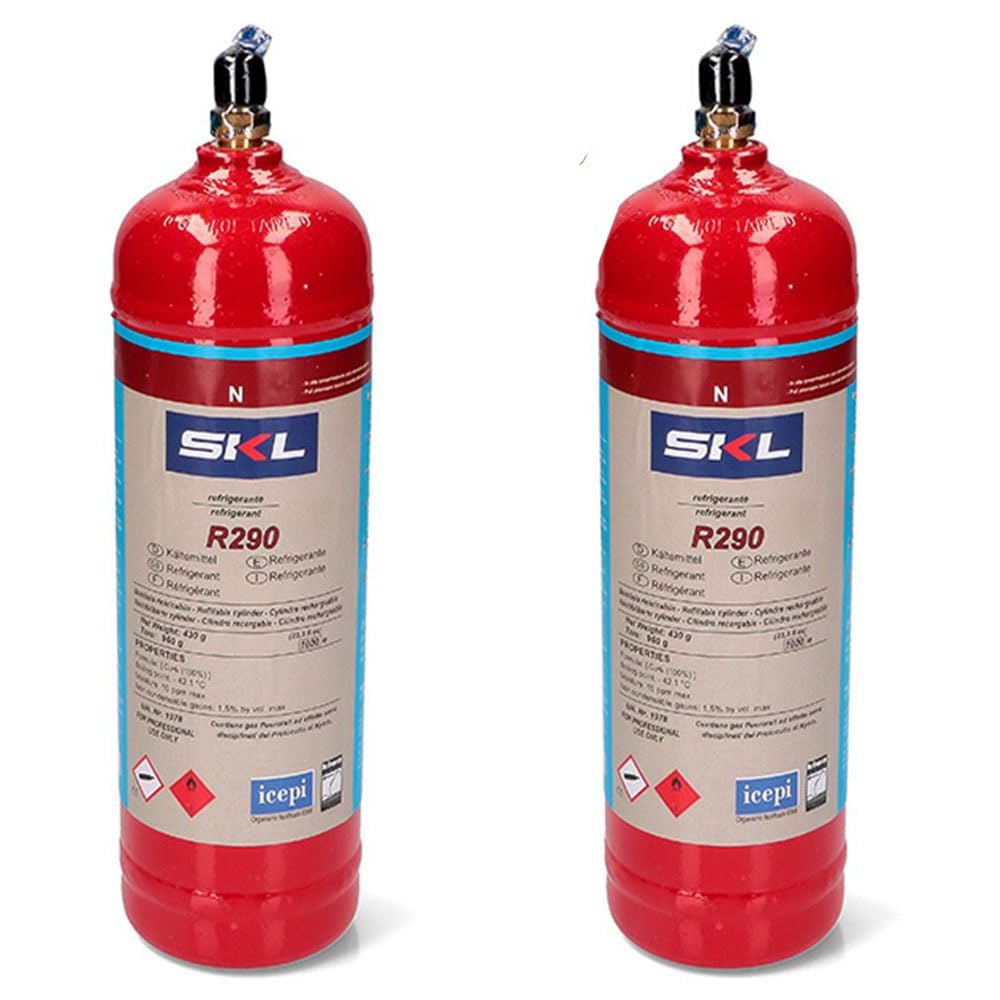 REPORSHOP - 2 bouteilles de gaz réfrigérant R290 370 g propane