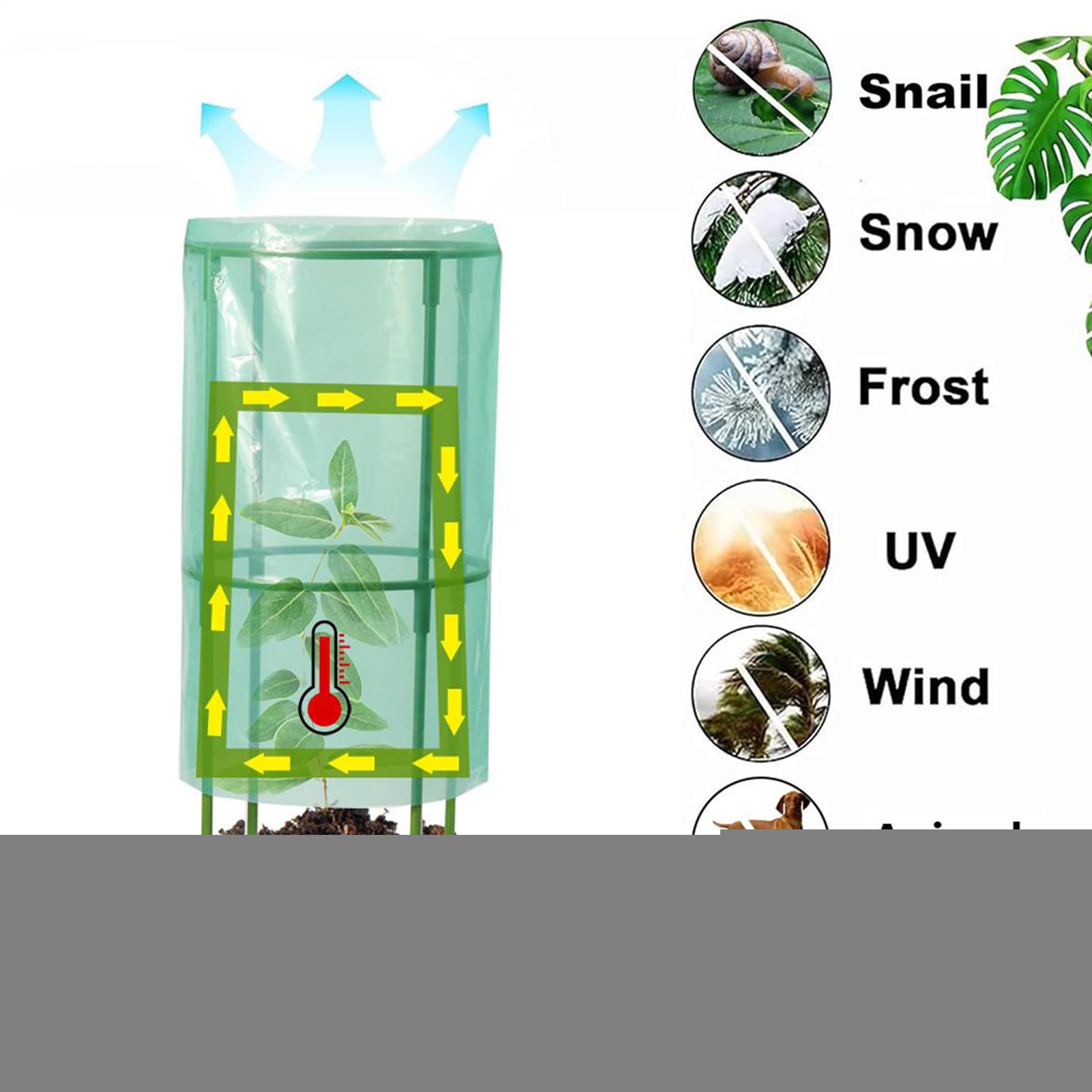 Cloches de Jardin pour de – Lot de 4 Protections réutilisables pour | Cage Dissuasive Les Animaux | Myrtille, Fraise, légumes, Fleurs, Fruits, Jardin