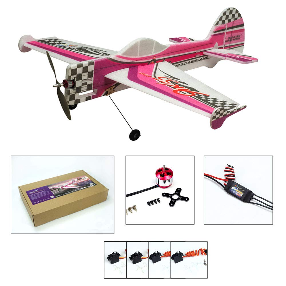 Amazon.com: DW Hobby 3D Flying Airplane YAK55 800mm Wingspan 4CH