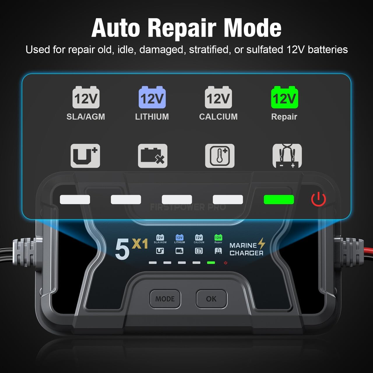 FirstPower Pro Charger in Auto Repair Mode