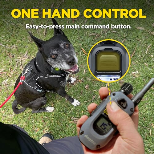 Image of Dogtra 280X 2-Dogs E-Collar with Remote [New Edition] 10 lbs+, 1 /2 Mile Range, LED Light, 100 Levels of Control for Stubborn Dogs, Waterproof, Boost for Quick Recall, Vibration, Safety Lock & Tone
