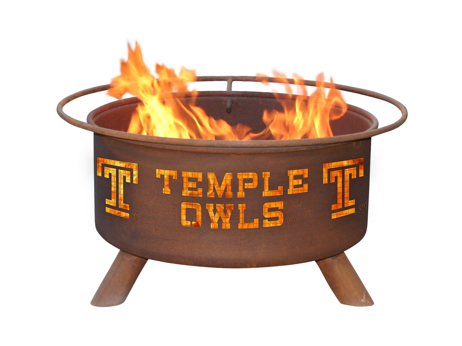 ボブ・ディラン　Temples In Flames　(3CD) TBT to the 1987 Temples In Flames Tour with Bob Dylan