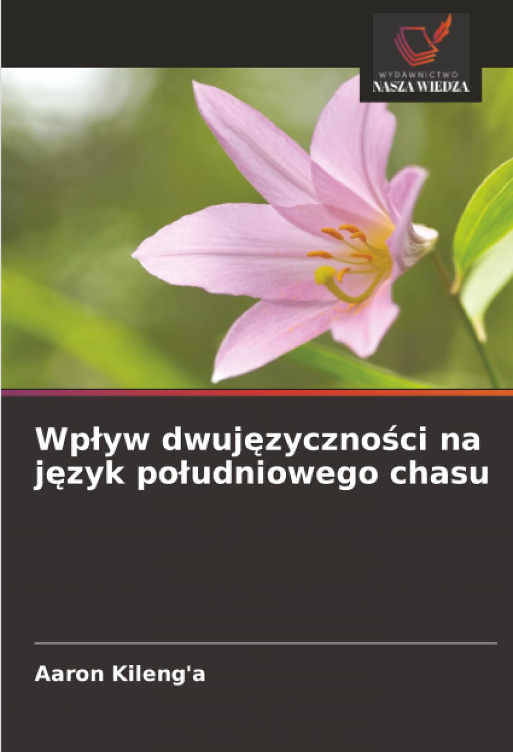 Wpływ dwujęzyczności na język południowego chasu