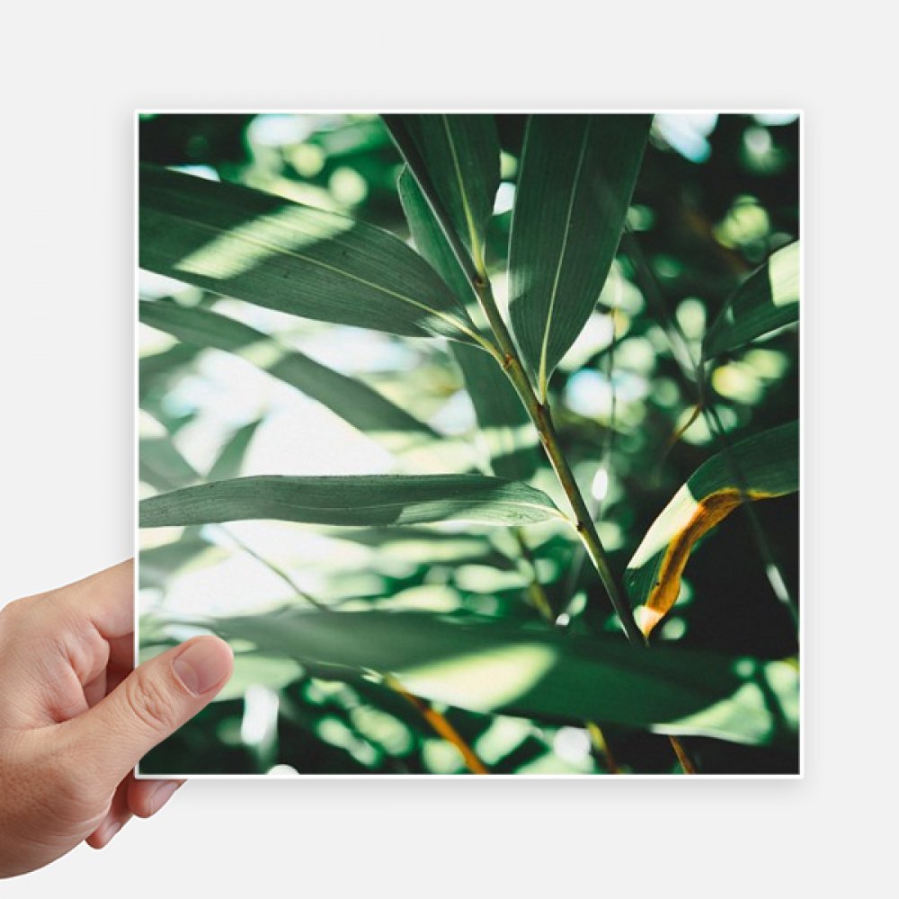 Autocollant plante verte haute définition stickers carrés de luxe 20cm