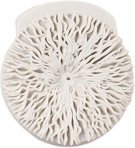 Miniatura 3 de QDMOLDS Moldes de silicona para fondant de hongos, moldes de silicona de caramelo de chocolate para decoración de pasteles, decoración de cupcakes,