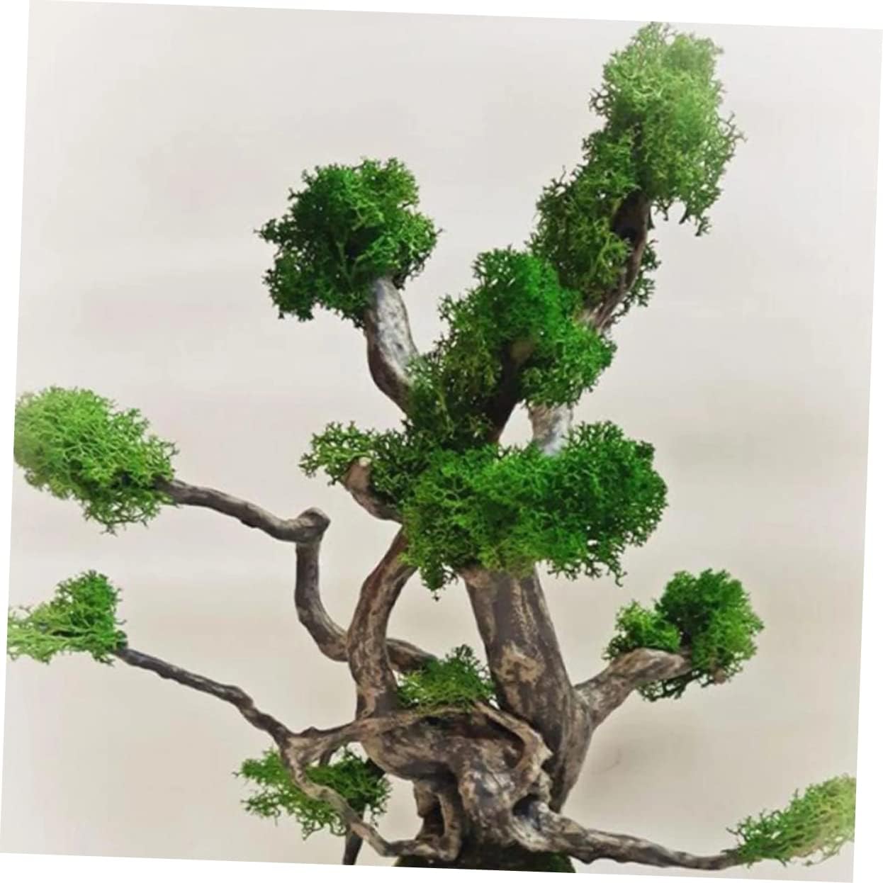 Luxshiny 2pcs 4 DIY Artificial Moss Powder Simulation Moss for Landscape Decor No Trimming