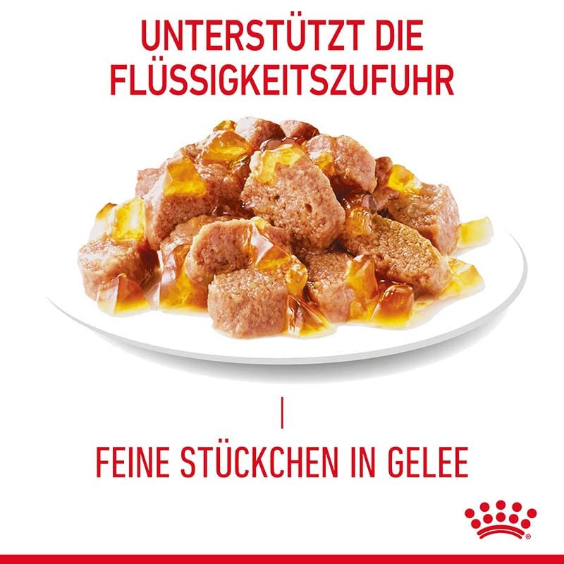Royal Canin FCN Hairball Care Jelly | 12 x 85 g | Alleinfuttermittel für ausgewachsene Katzen (feine Stückchen in Gelee) | Kann zur Verringerung der Bildung von Haarballen beitragen