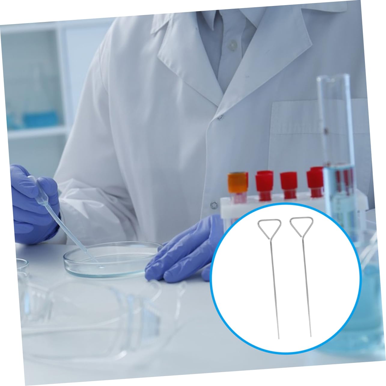 Gatuida Boîte de Petri 2 Étaleurs Triangulaires en Acier Inoxydable pour Expériences de Laboratoire, Finition Lisse, Utilisation Polyvalente