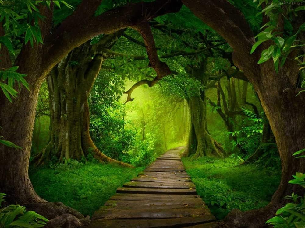DVWIVGY Forest Landscape Diamond Painting Kits, 5D DIY Full Drill Round Art Gems Green Forest Diamond Art for Gift Home Wall Deco Diamond Dots 12 x 16 inch