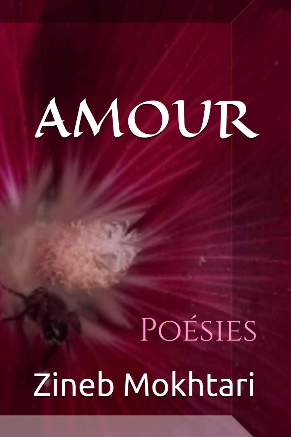 AMOUR: Poésies