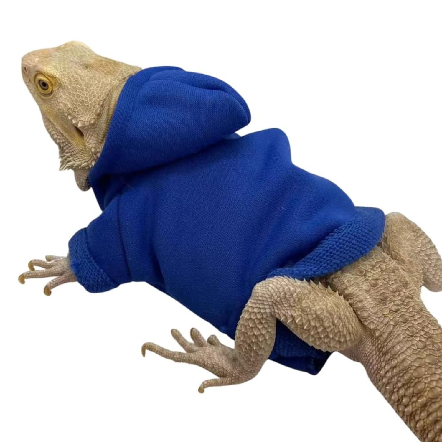 Amazon.com : Lizards Clothes for Bearded Dragon - Handmade Cotton ...