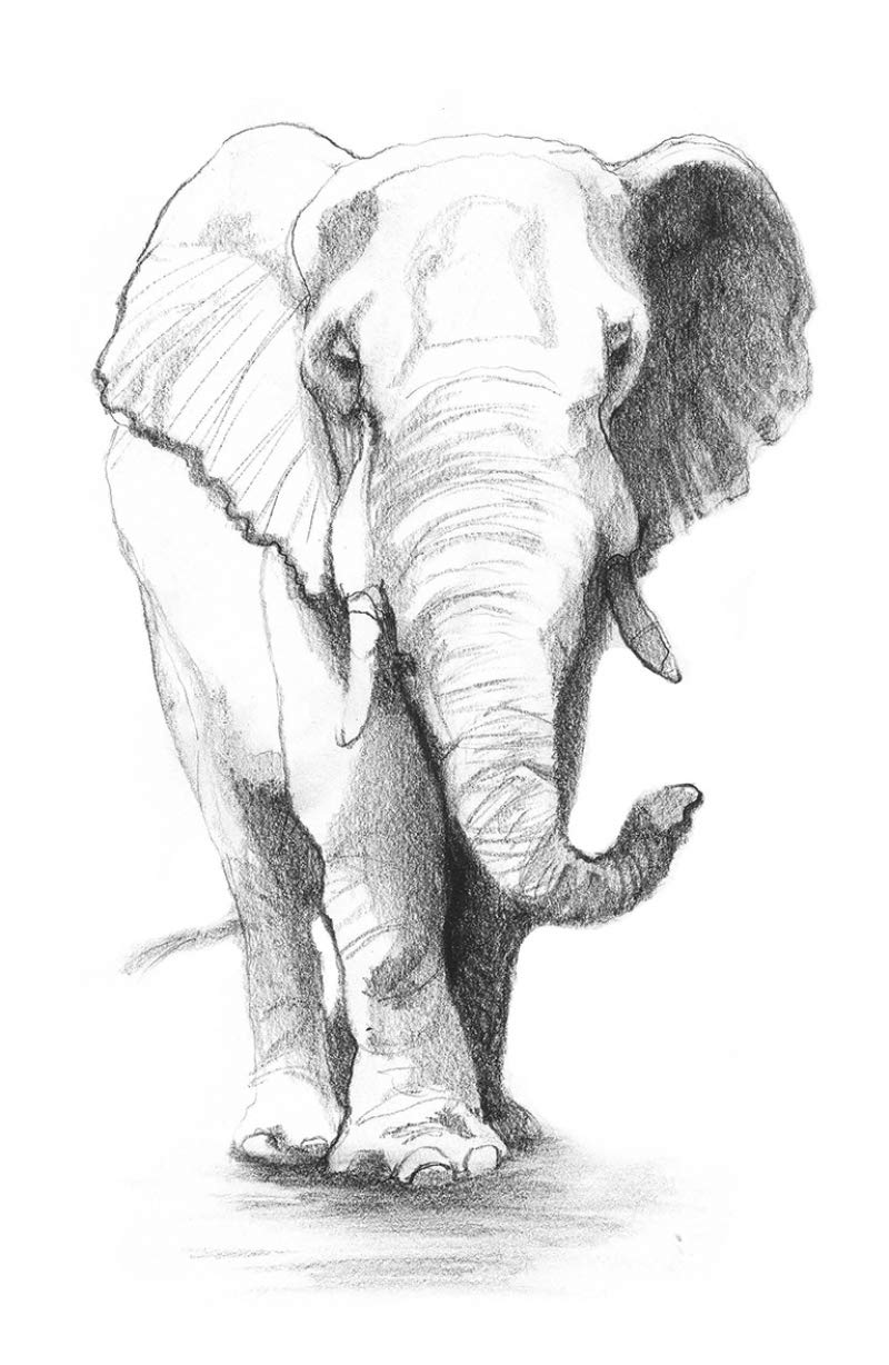 El libro de la selva (Colección Alfaguara Clásicos)
