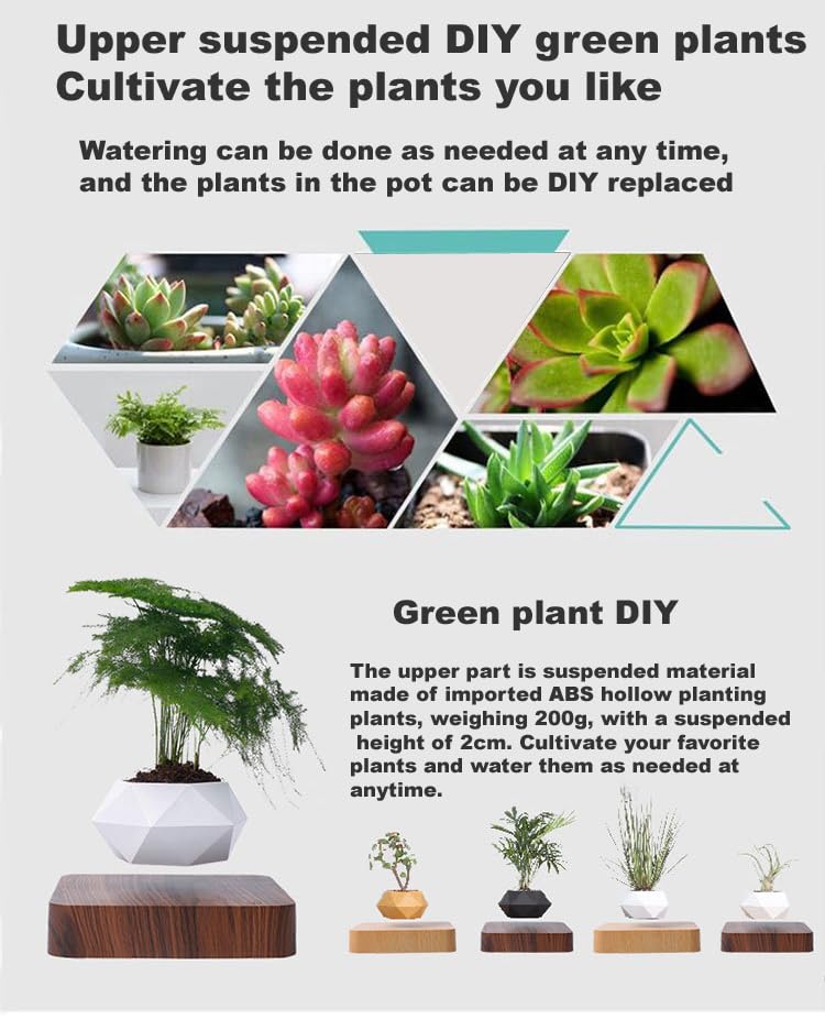 Pot de fleurs flottant en bois clair, l'idée cadeau design et originale