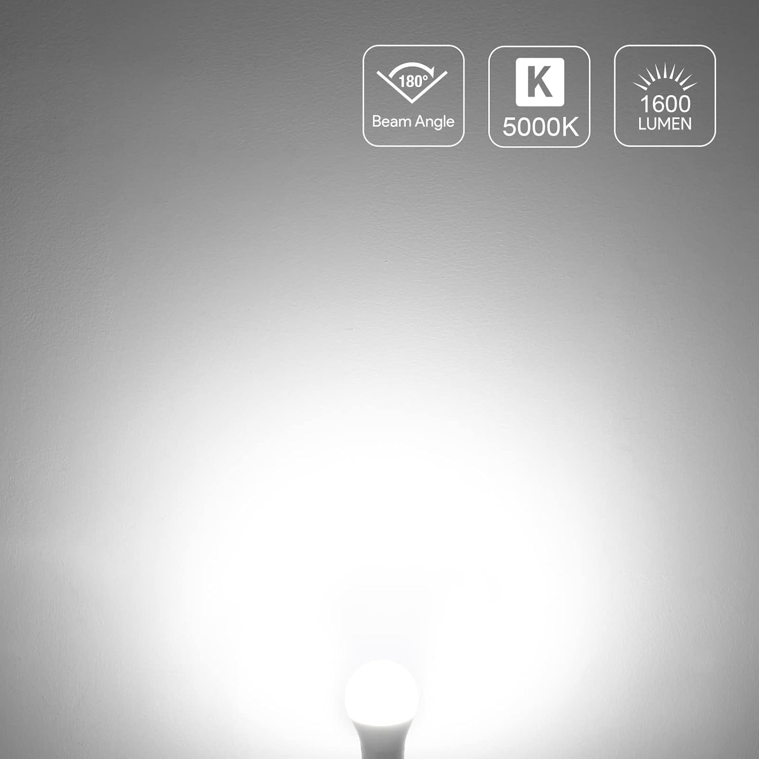 LE Bundle – 2 Items: 6-Pack LED Light Bulbs 100W Equivalent, Daylight White & 5-Pack Vintage Dimmable LED Bulbs,7.5W 800LM, 60W Equivalent, 2700K Warm White