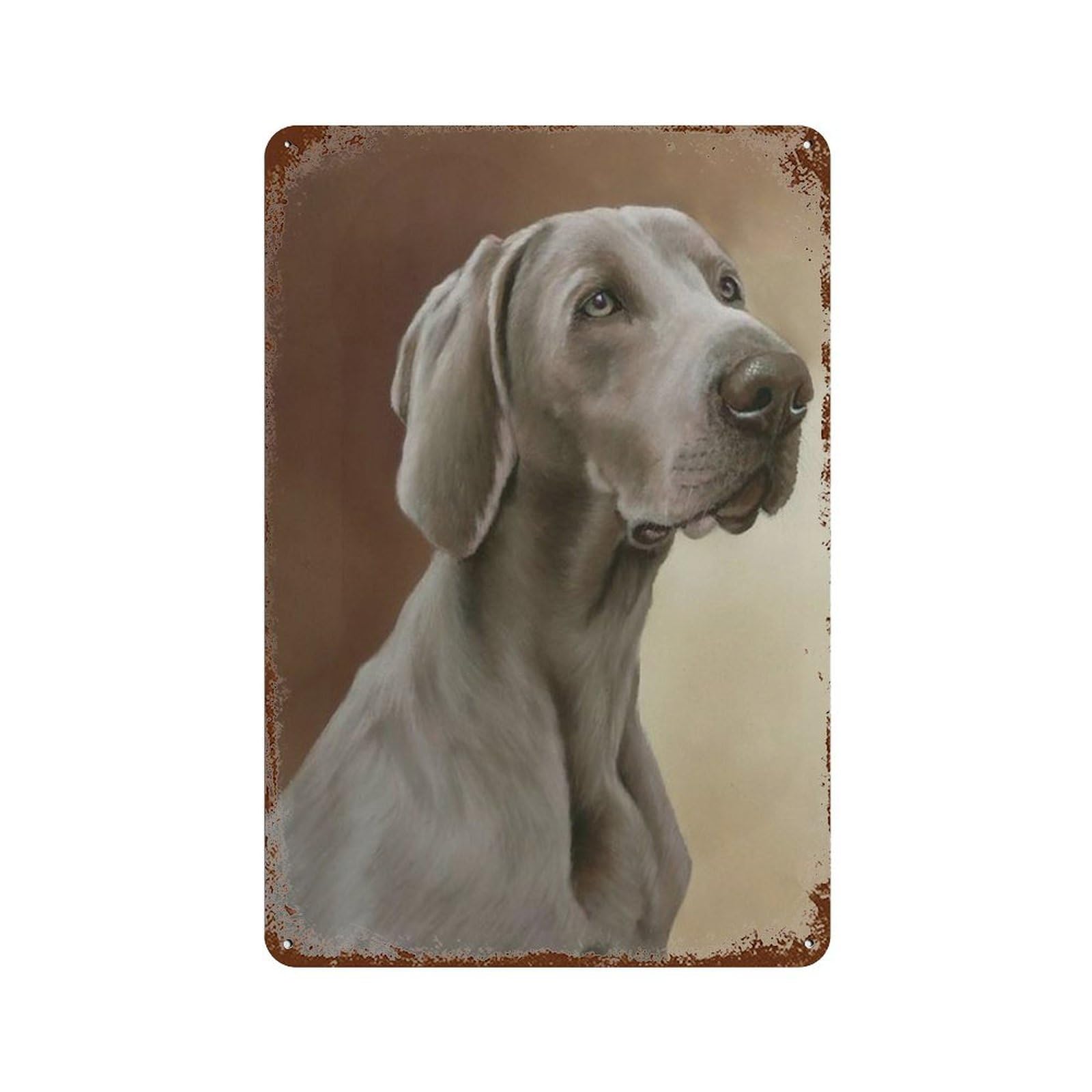 Metal Tin Sign，Weimaraner dog，Tin Sign Vintage Bar Kitchen Garage Cave Home Wall Funny Decor Retro Tin Sign-30x40cm(12x16 inch）A-44
