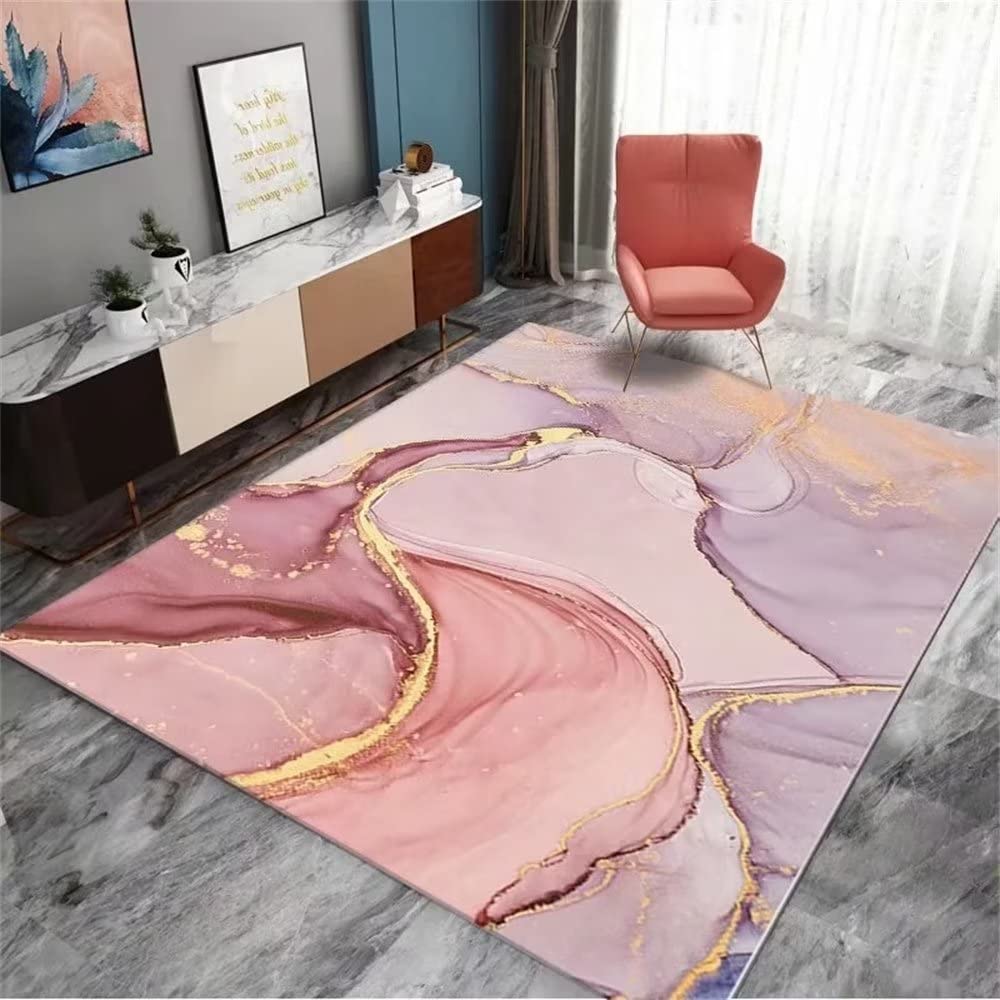 Carpette Tapis Jardin Extérieur Accessoires de Salon Abstraits Roses de Style Moderne et Durable Chambre Bebe 170X240CM