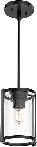 Hunter Fan Company 19005 Astwood - Lámpara colgante, acabado negro mate